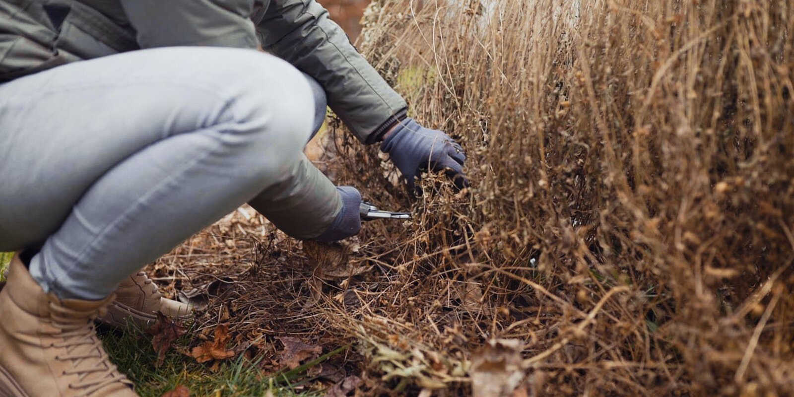 Stauden schneiden | Starkl Gartenblog - Tipps & Tricks rund um das