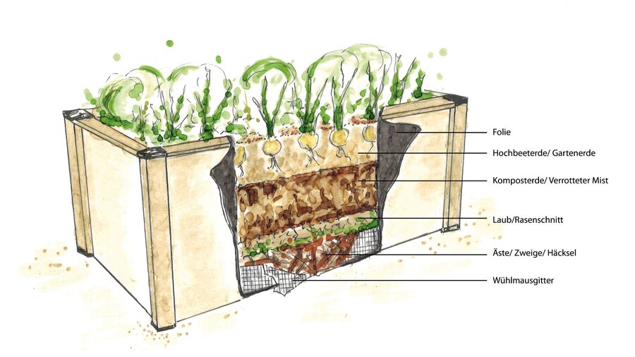 Hochbeet befüllen Starkl Gartenblog Tipps & Tricks rund um das