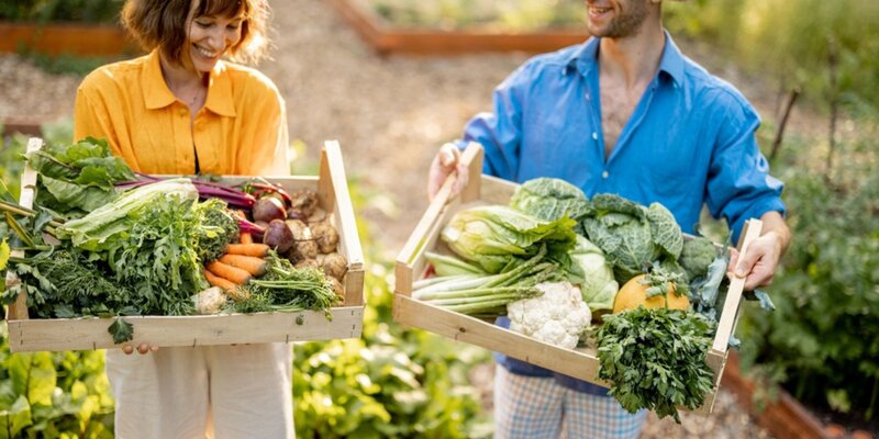 Gemüsegarten im Herbst Starkl Gartenblog Tipps & Tricks rund um das