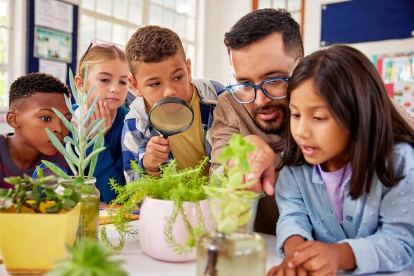 Back 2 School mit grünem Daumen: Pflanzen für Klassenzimmer, Schulgarten & als Geschenk
