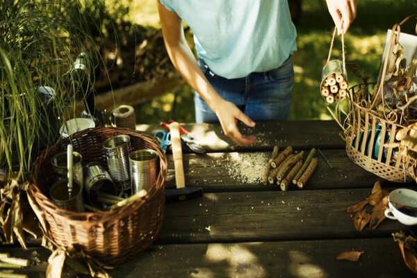 Schale bepflanzen mit Bienenfutterpflanzen Starkl Gartenblog Tipps