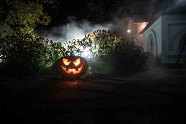 Grusel im Garten: So gestalten Sie Ihren Garten stimmungsvoll für Halloween
