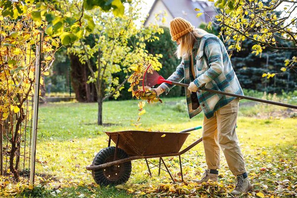 Jetzt oder nie: Die letzten Gartenarbeiten im Herbst – und wann der allerletzte Zeitpunkt ist