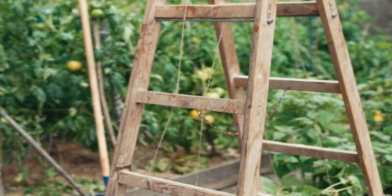 Upcycling Rankgerüst mit Leiter Starkl Gartenblog Tipps & Tricks