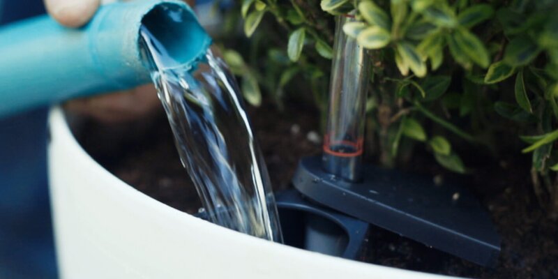 OutdoorTöpfe mit Wasserstandsanzeige Starkl Gartenblog Tipps
