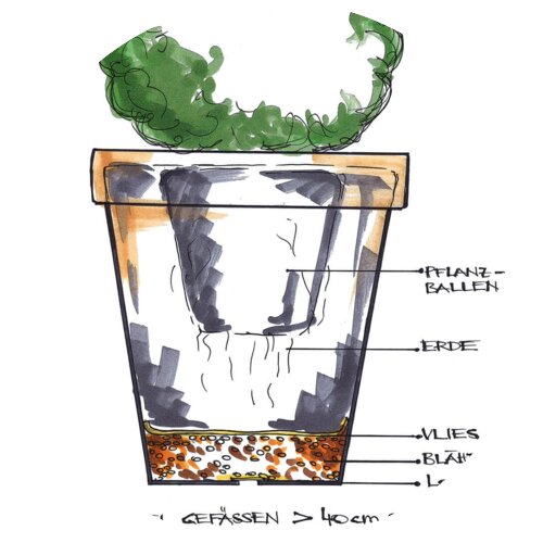 Darstellung Drainageschicht in Töpfen