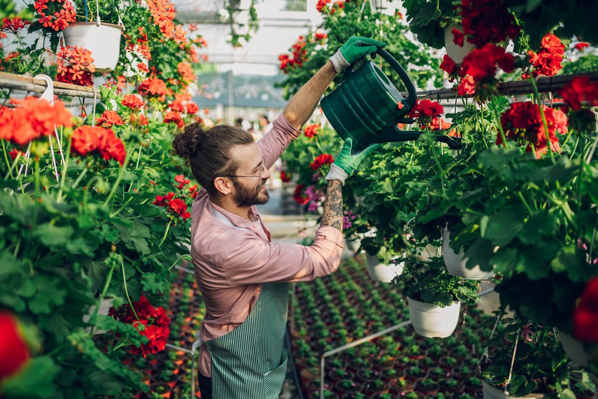 Alle Gartencenter sonntags Veranstaltungen & Events im
