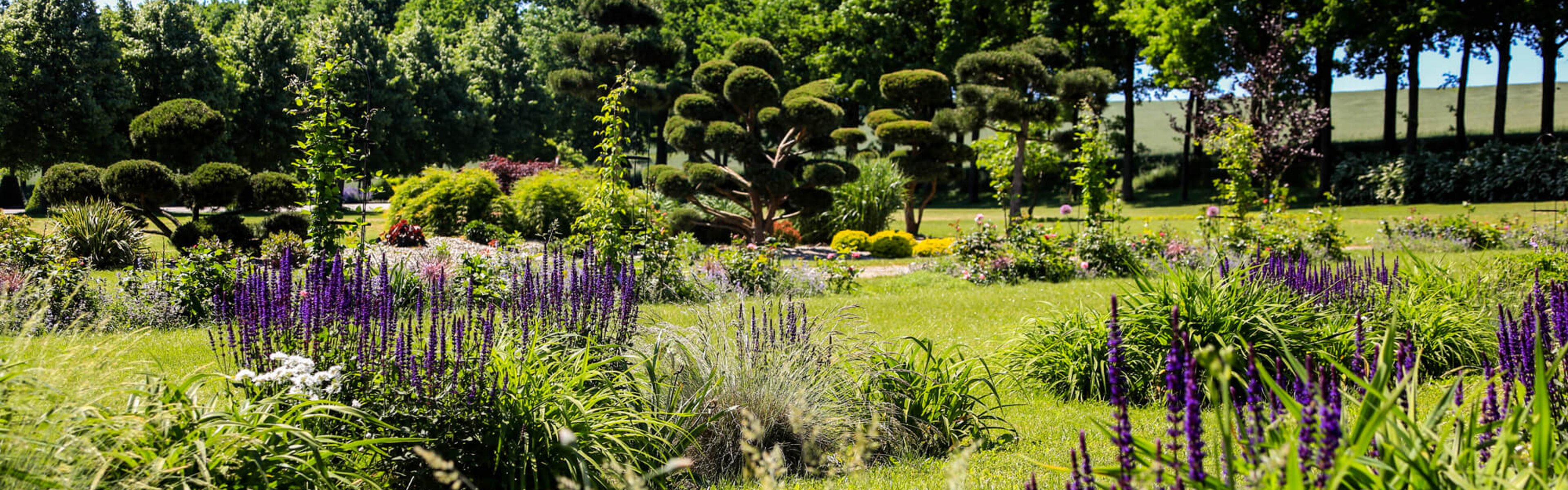 Gartencenter & Gartengestaltung Aschbach STARKL