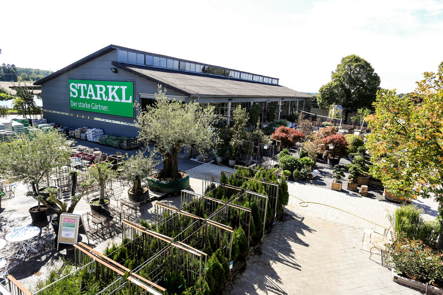 Starkl Pottendorf Starkl Gartenblog Tipps & Tricks rund um das