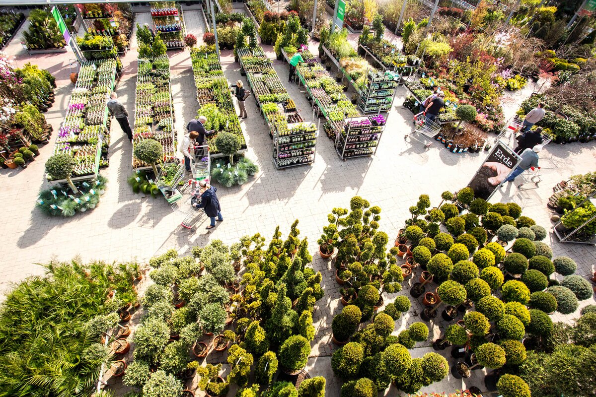 Starkl Loft (Pfaffstätten) Starkl Gartenblog Tipps & Tricks rund um