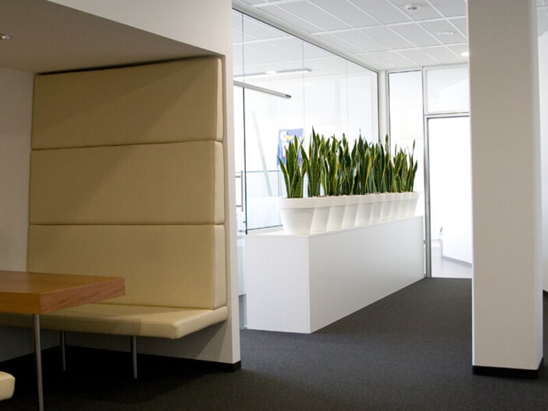 Bürobegrünung