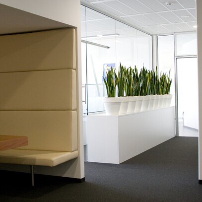Bürobegrünung