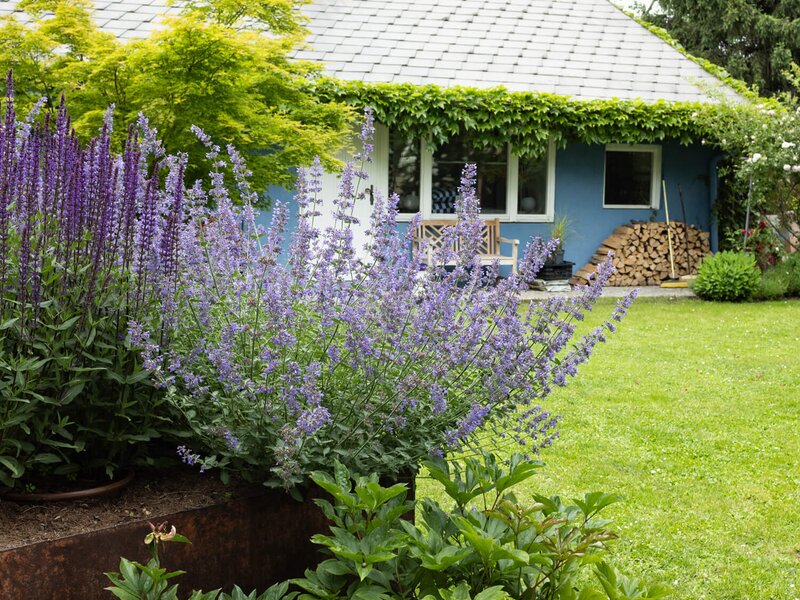 Bienengarten