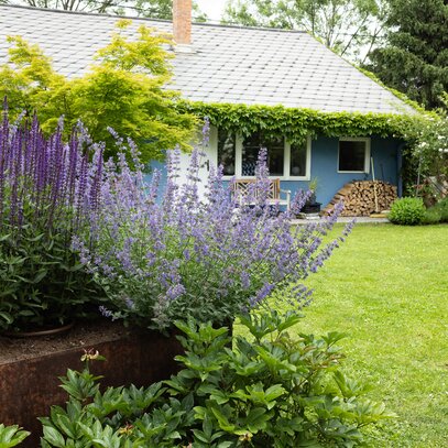 Bienengarten