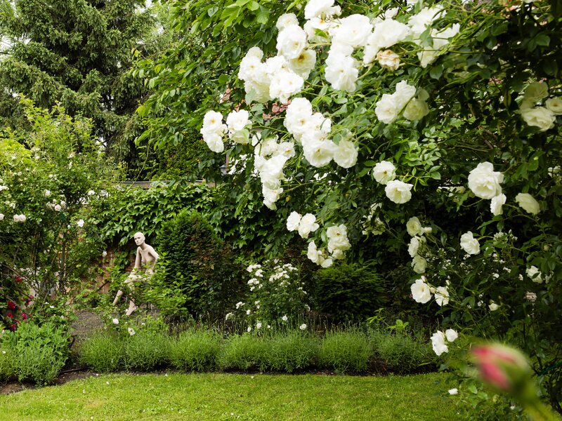 Bienengarten