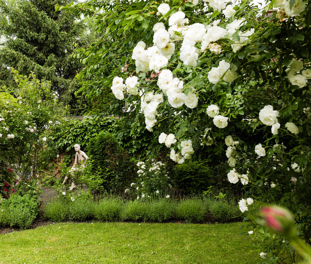 Bienengarten