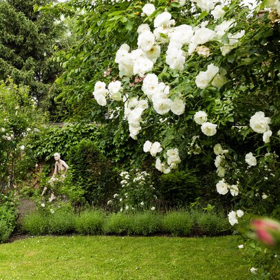 Bienengarten