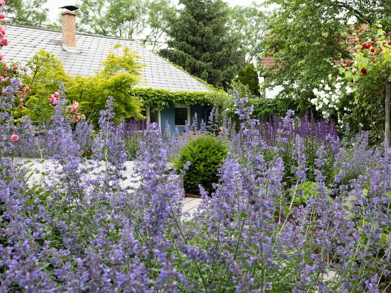 Bienengarten