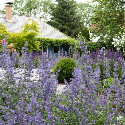 Bienengarten