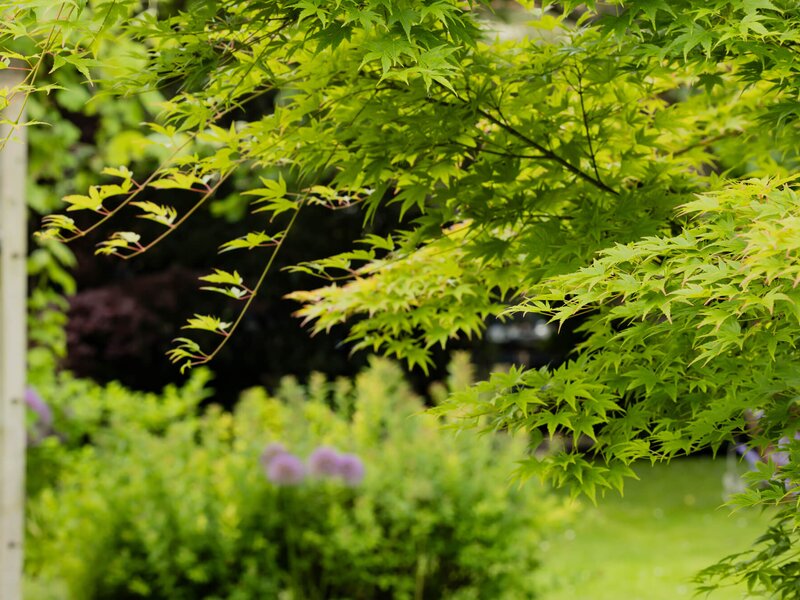 Bienengarten