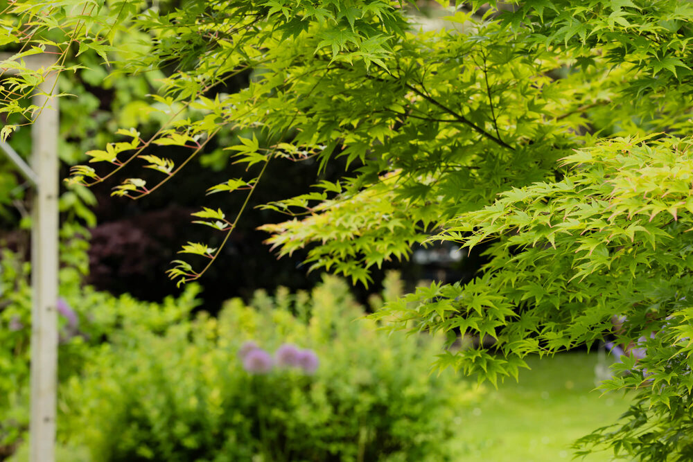 Bienengarten