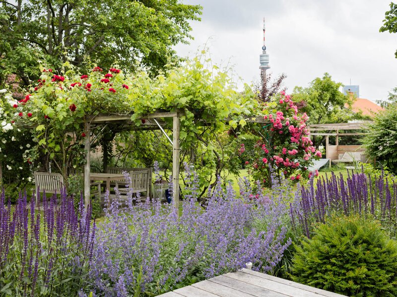 Bienengarten