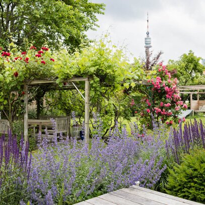 Bienengarten