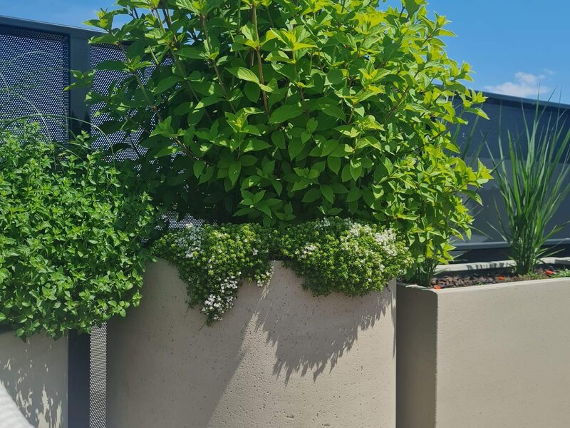 Chillout - Terrasse