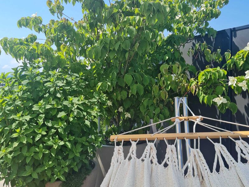 Chillout - Terrasse