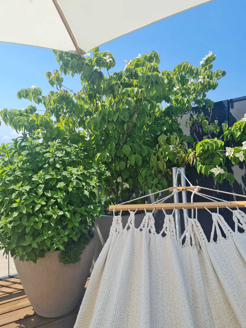 Chillout - Terrasse