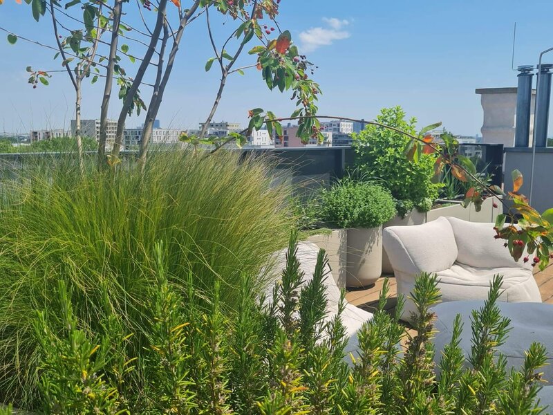 Chillout - Terrasse