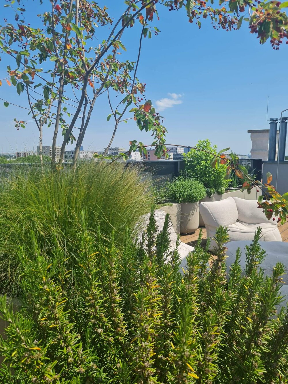 Chillout - Terrasse