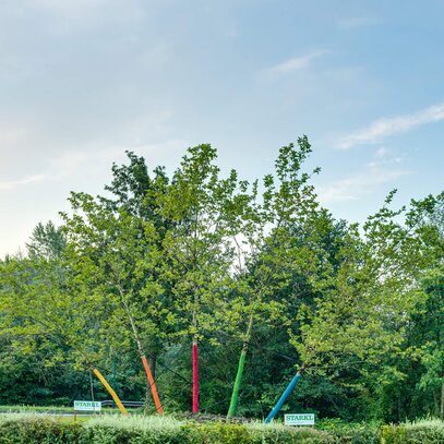 Crazy Trees aus Eigenproduktion