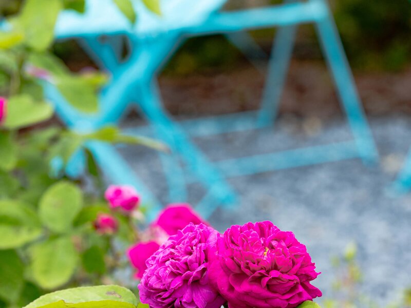 Extravaganter Garten
