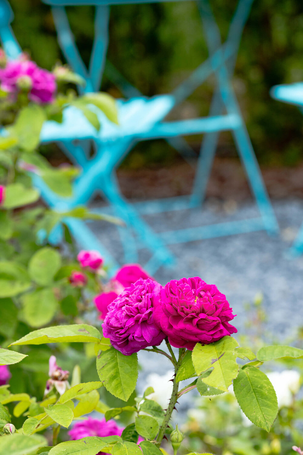 Extravaganter Garten