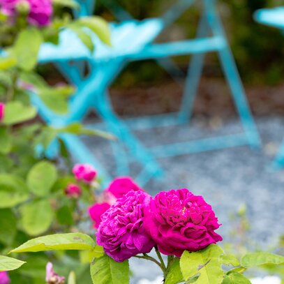 Extravaganter Garten