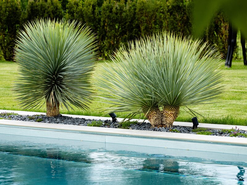 Extravaganter Garten