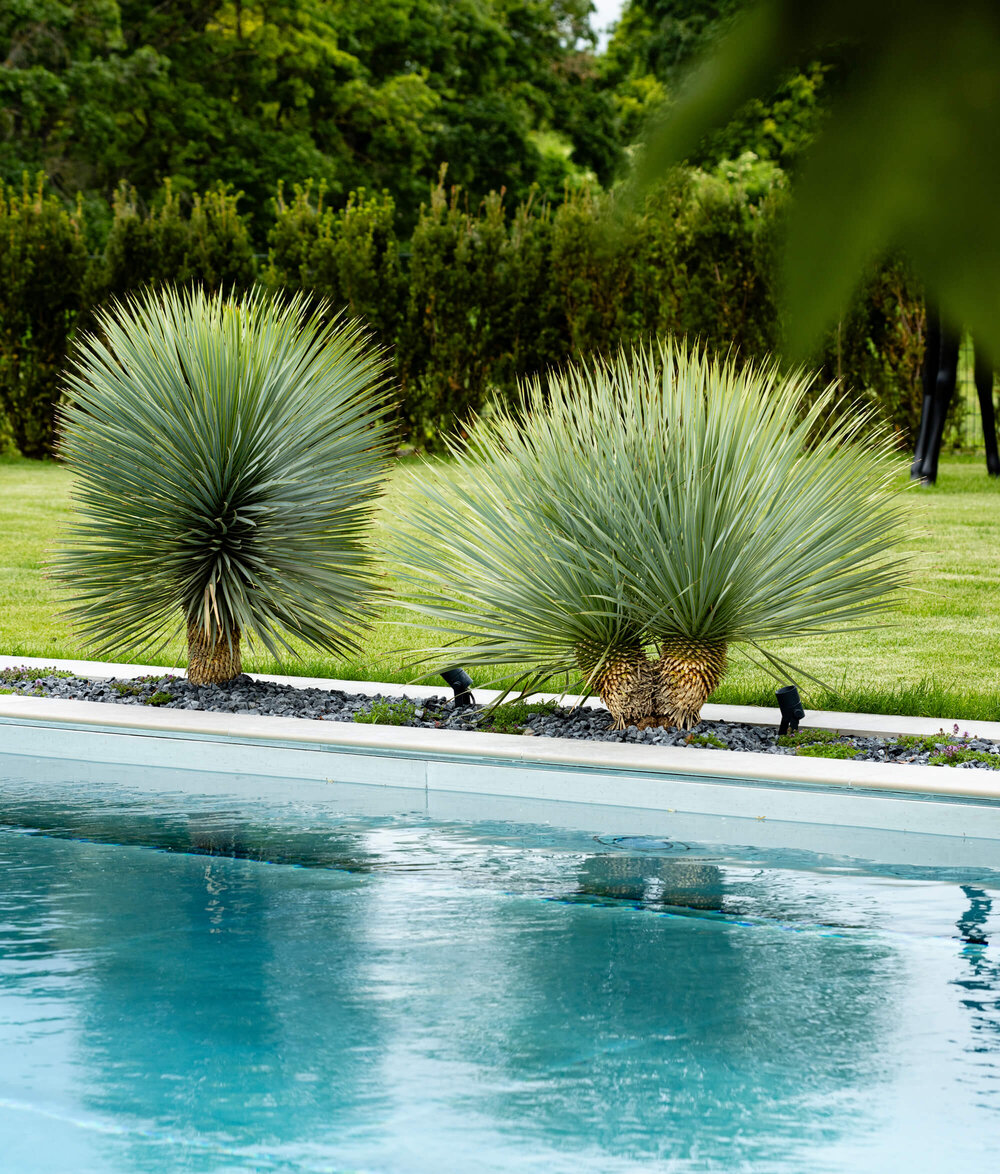 Extravaganter Garten