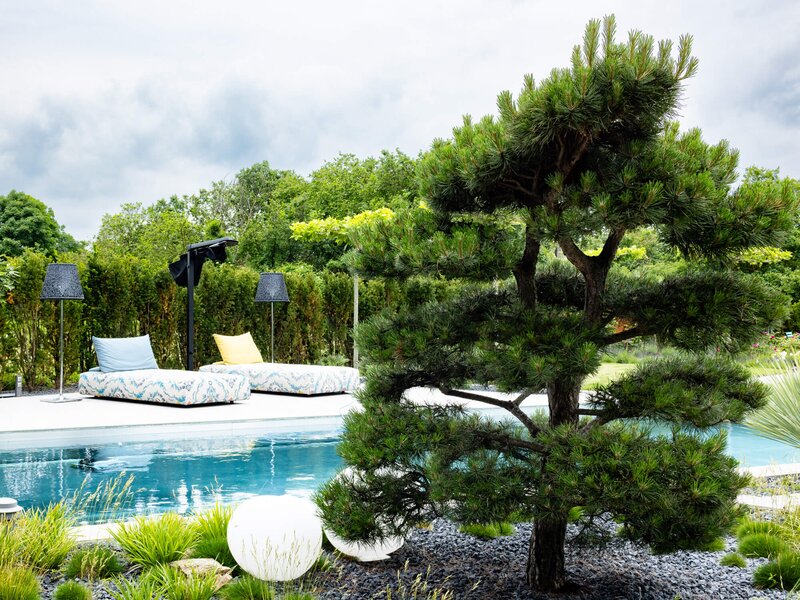 Extravaganter Garten