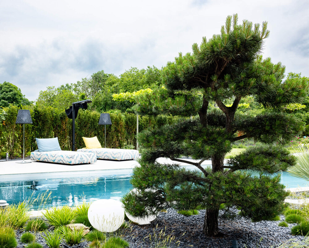 Extravaganter Garten