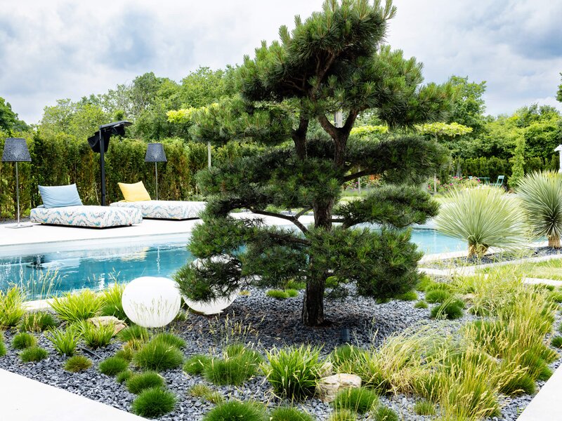 Extravaganter Garten