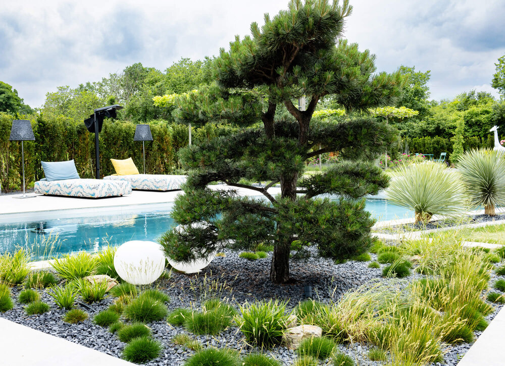 Extravaganter Garten