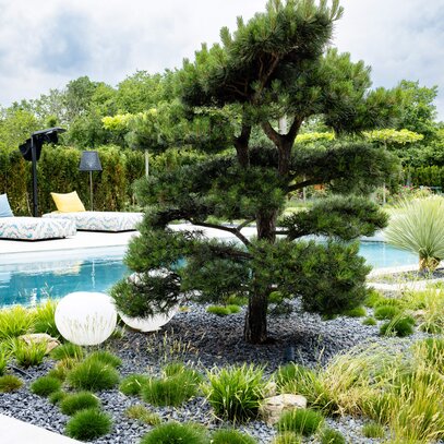 Extravaganter Garten