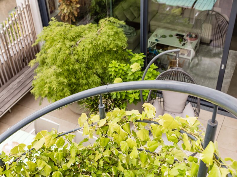 Grüne Terrasse