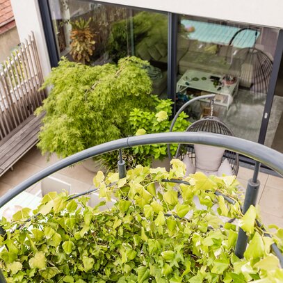 Grüne Terrasse