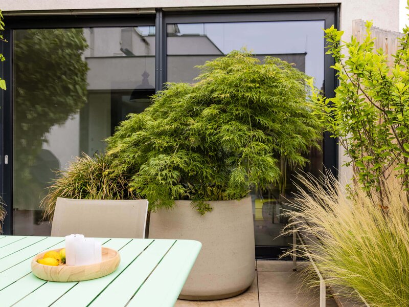 Grüne Terrasse