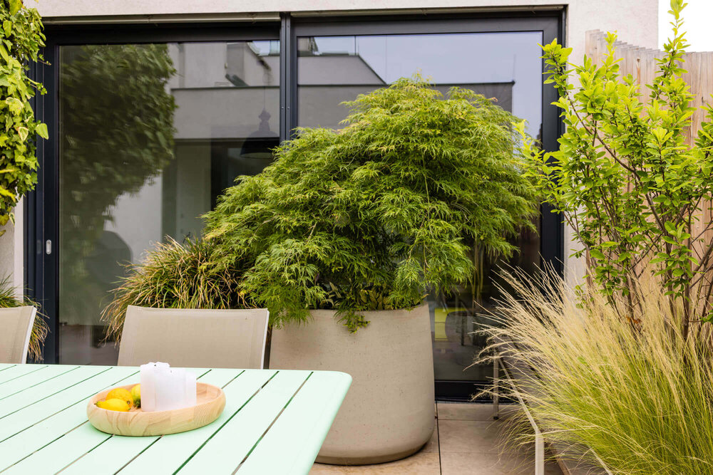 Grüne Terrasse