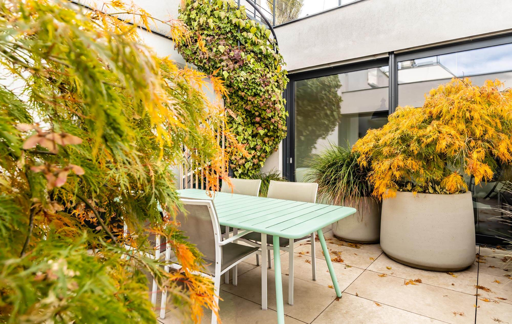 Grüne Terrasse