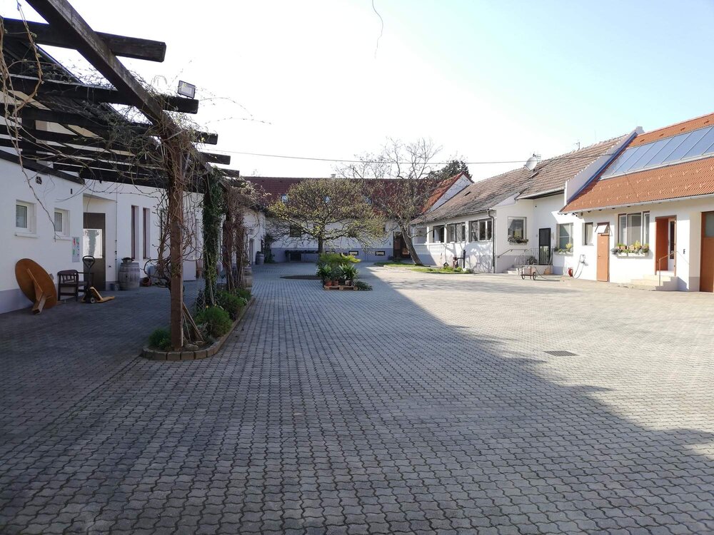 Grüner Innenhof