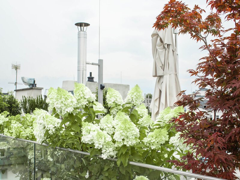 Moderne Terrasse